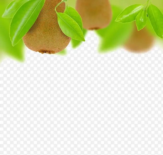 ���ʵ�⨺���ˮ��-������