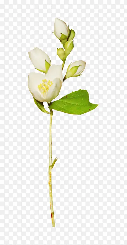 ����-������