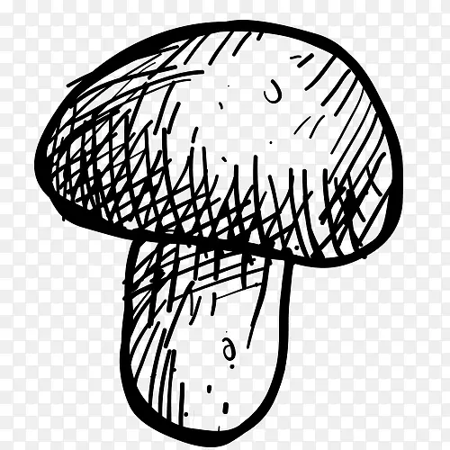 Ǧ�ʻ� ���� �߲� ��д �ڰ�-������