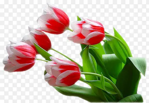 �����زĻ���ʸ���ز�-������