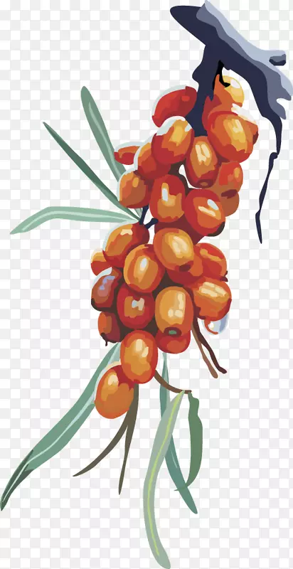 ��ý����-������