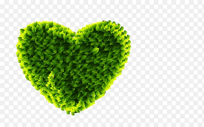 ��ɫ��������-������