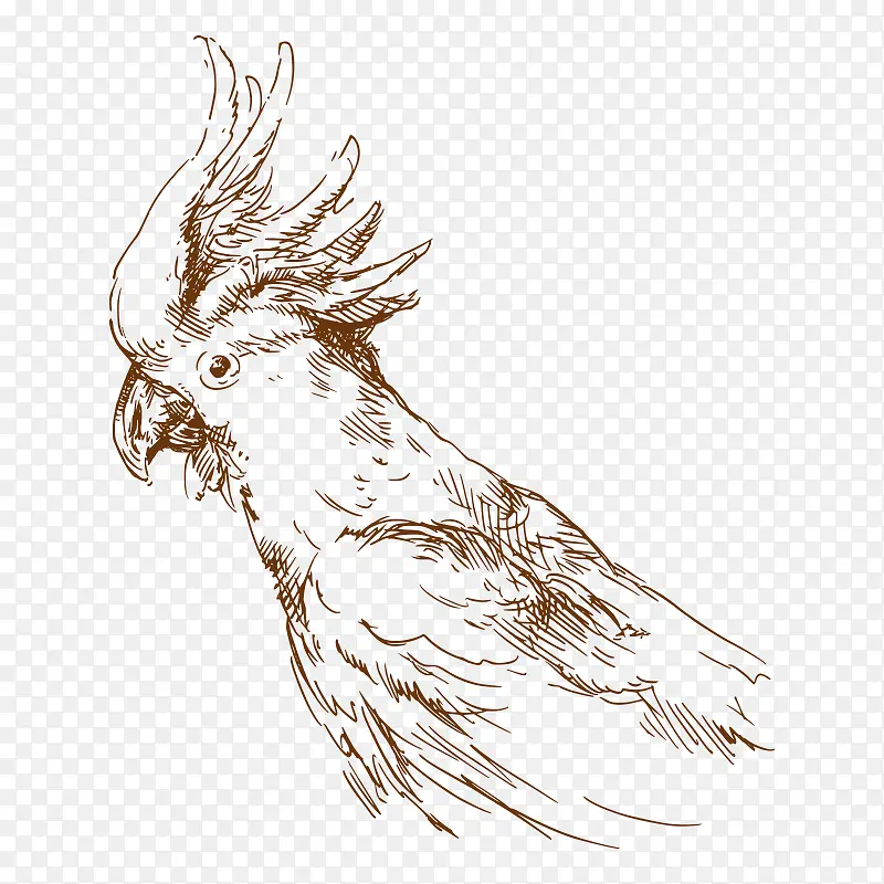 ���� ����-������