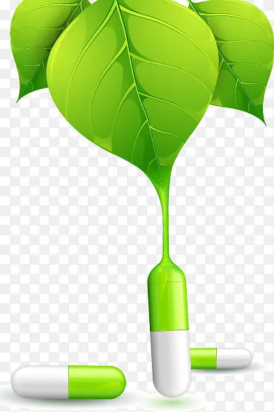 ������Ҷ����-������