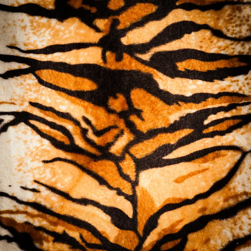 �ϻ�Ƥ�ﱳ��-������