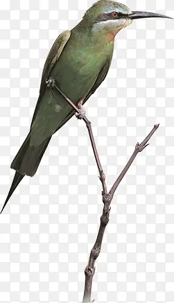 ������Ӱͣ�����ϵ�С��-������