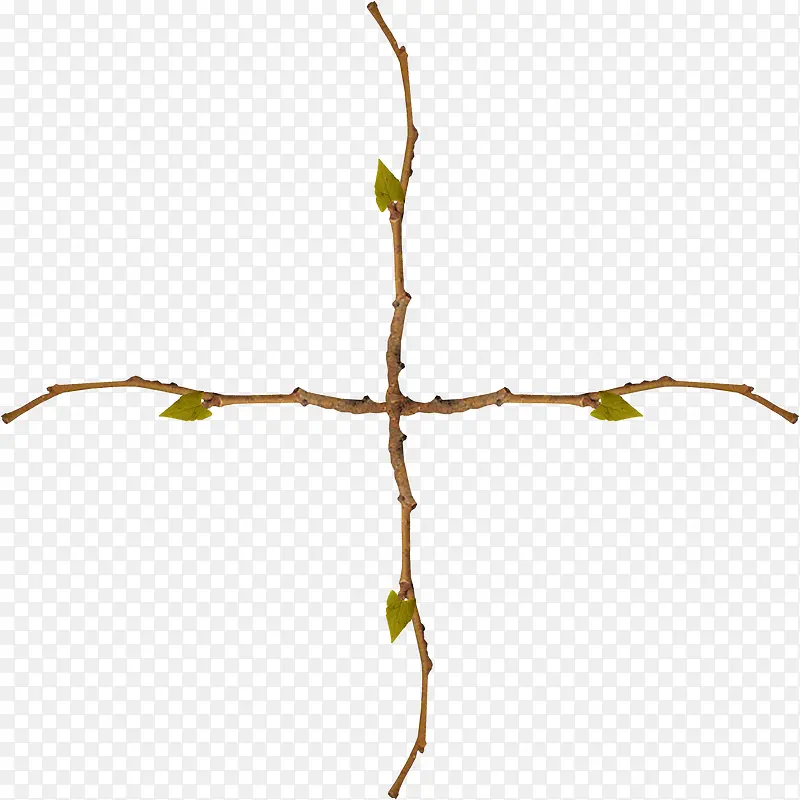 ��֦ʮ�ּ�-������