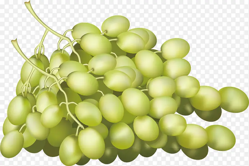 �����ֻ�ͼ��-������