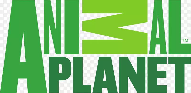 �����������Ƶ�����ֹ�˾��̽��Ƶ��-������