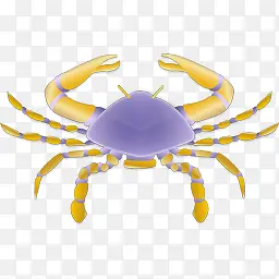 ��֢����Zodiac-icons-������