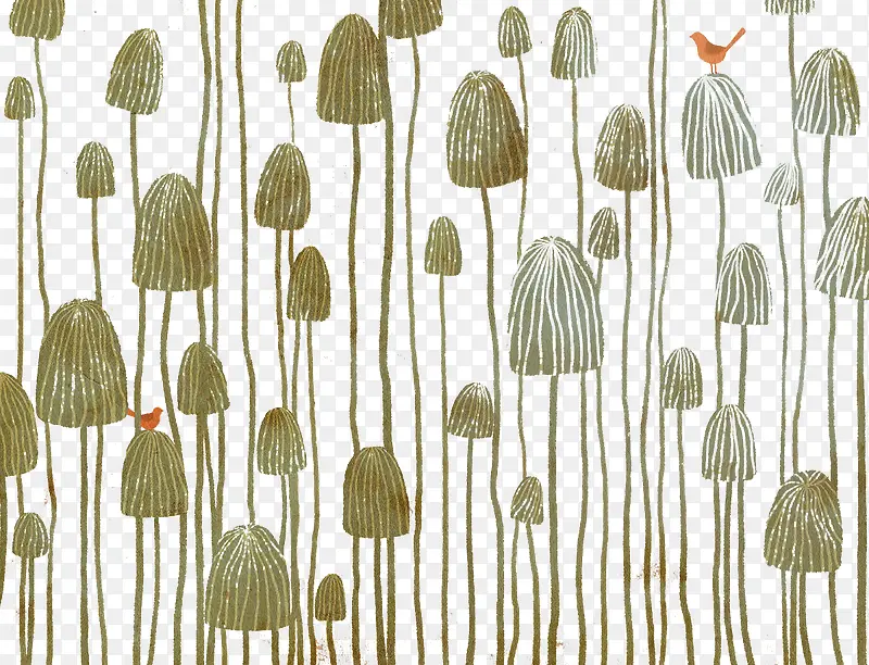 �����ֻ渴�Ż���-������