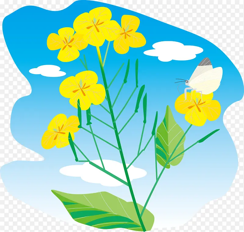 ʸ���Ͳ˻��ز�-������