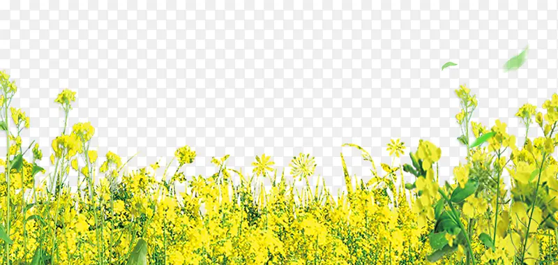 ̤�ഺ�������Ͳ˻��廭-������