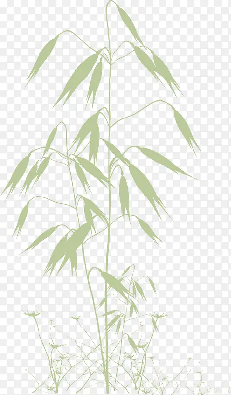 ֲ���Ӱ-������