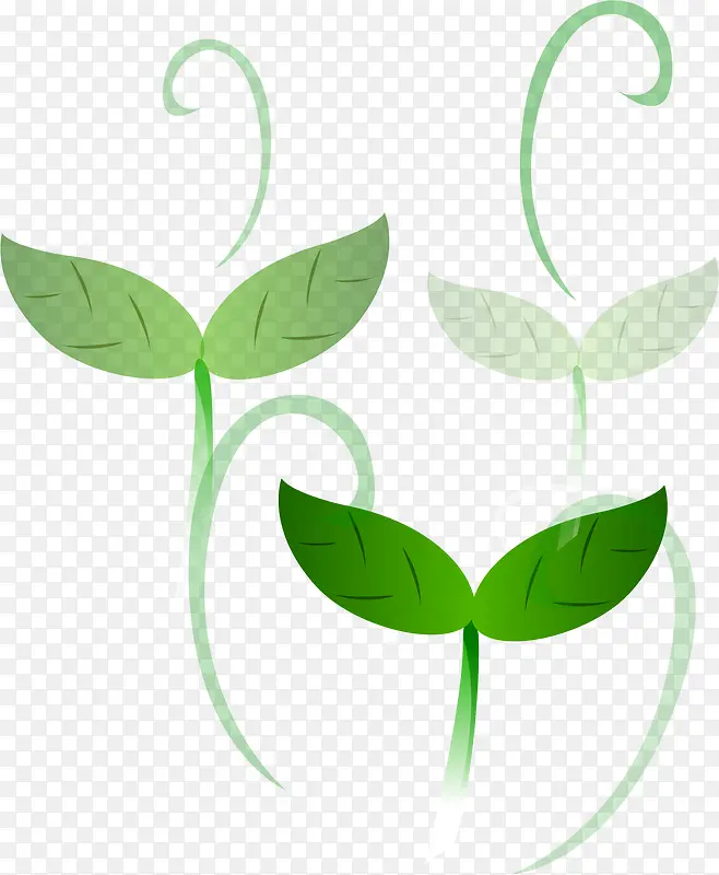 ��ɫ����-������