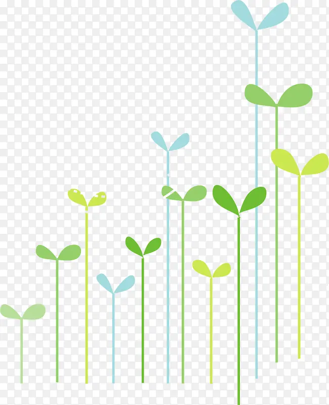 ��ɫ��ѿ-������