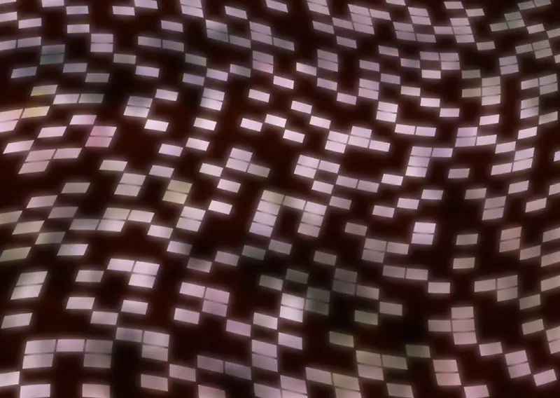 IT�����ز�138-������