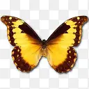 �������찲��ͼ��-������