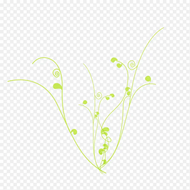 ǳ����֦����-������