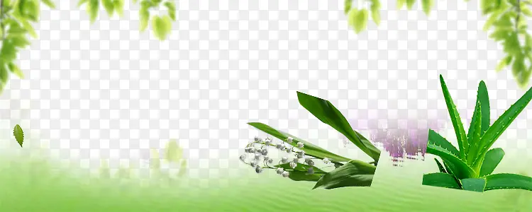 ��ױƷ��������-������