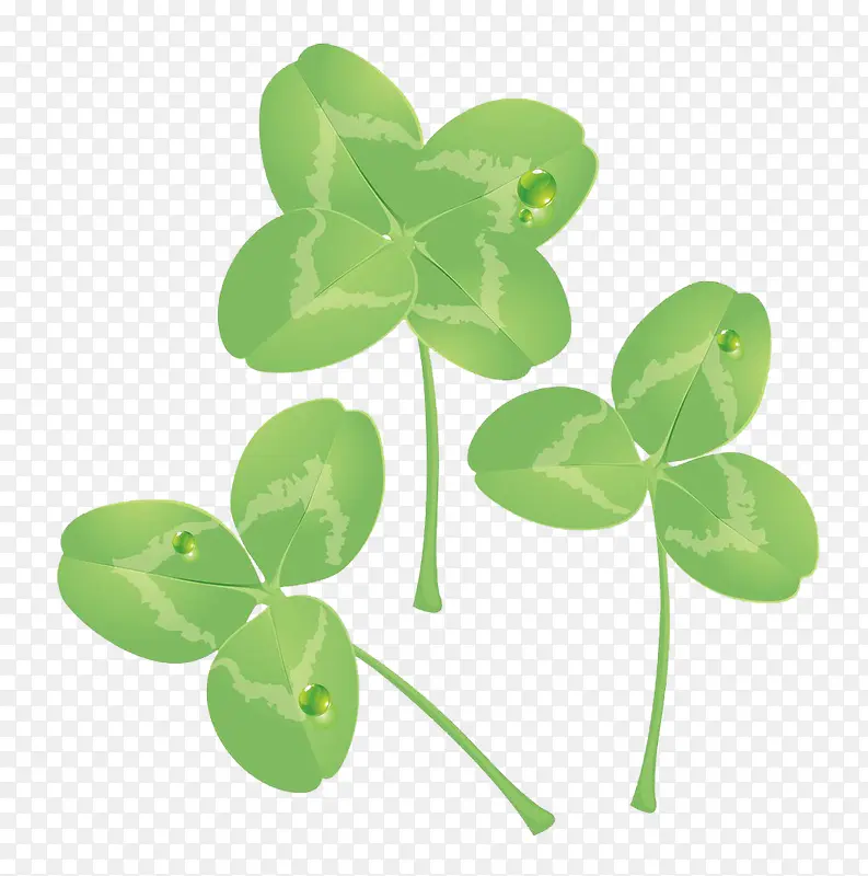 ��Ҷ��Ҷ��ͼƬ�ز�-������