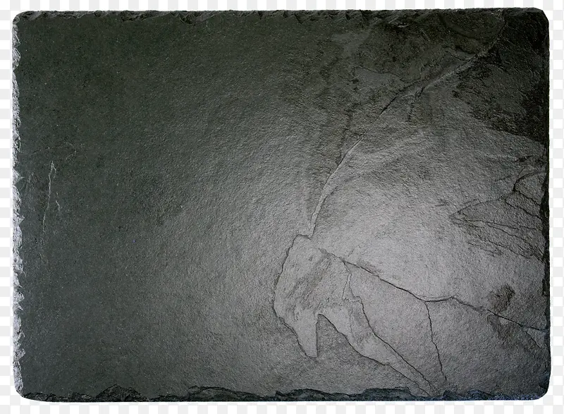 ����-������