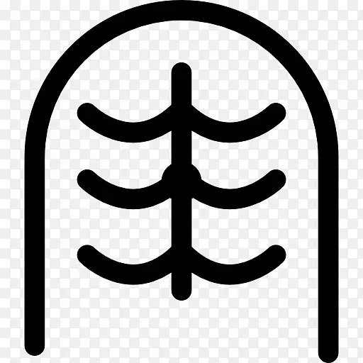 ������ָͼ��-������