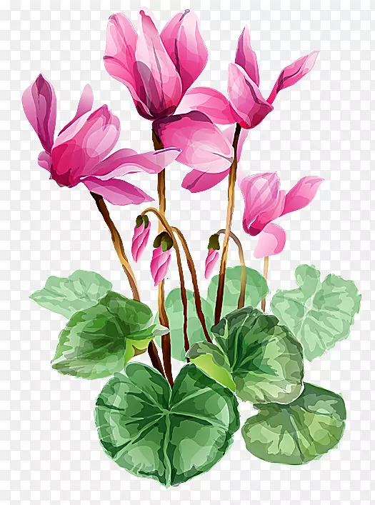 �廨����.����ͼ��-������