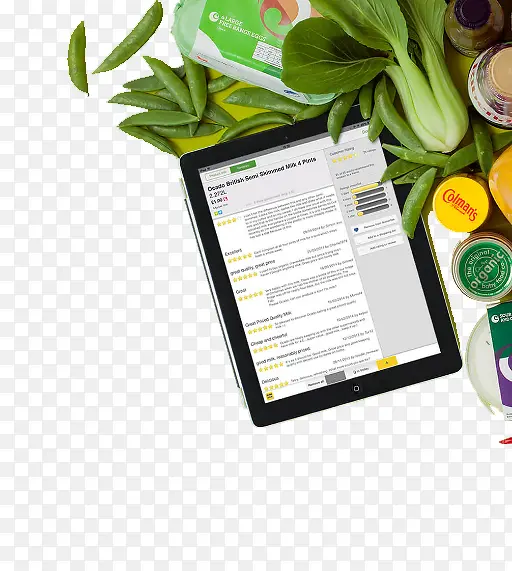 ƽ���߲���ɫ����-������