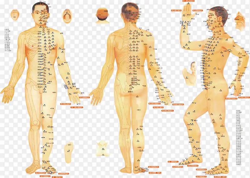 Ѩλ��-������