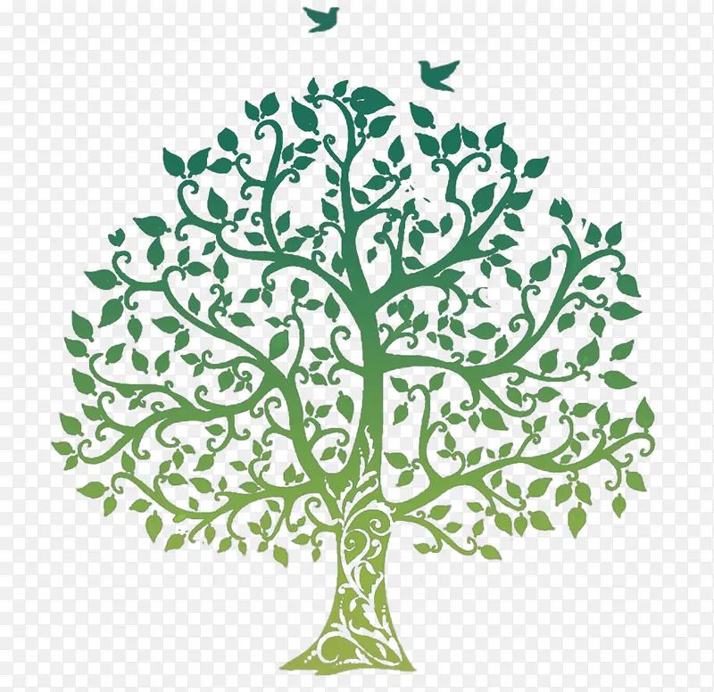 ��ɫ����������-������