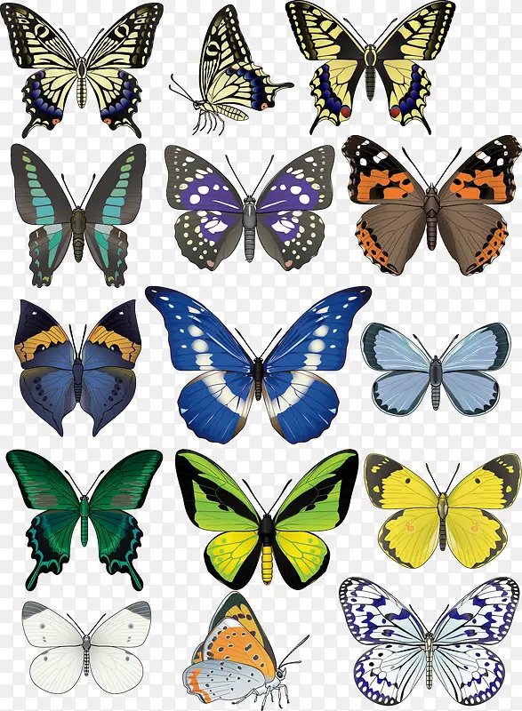 ɫ�ʰ�쵻��ƺ���ʸ���ز�-������