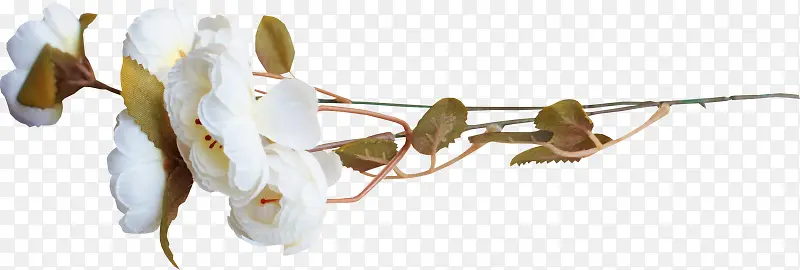 ��ɫ���滨-������