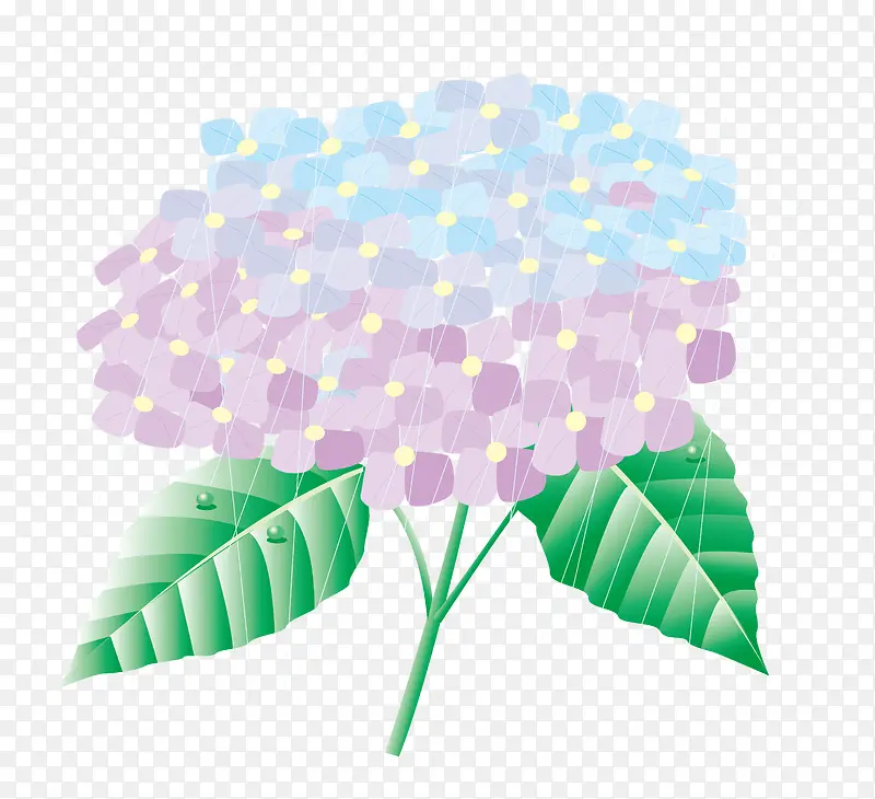 ����ˮ��ˢ����Ҷ��-������