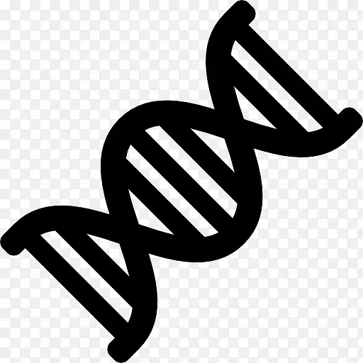 DNA��ͼ��-������