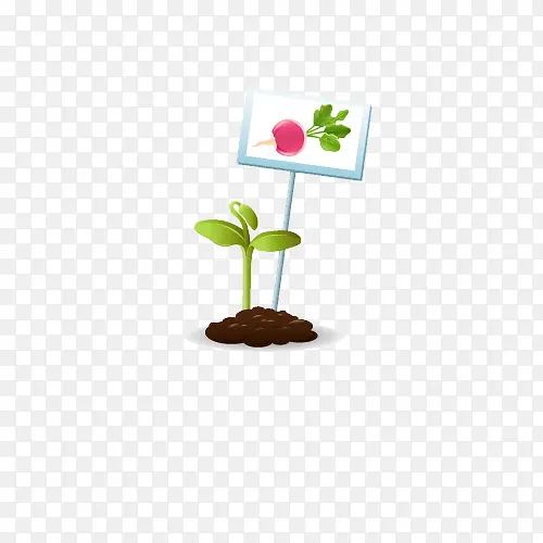 ʸ��������ܲ�����-������