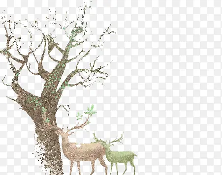 ����ʱ��ɭϵԭ�޷�¹�ز�-������