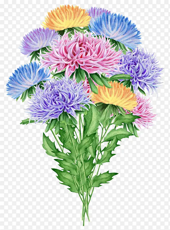 �ֻ�һ����������-������