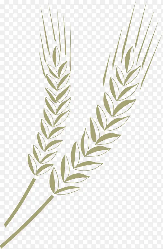 �������ֻ��������-������