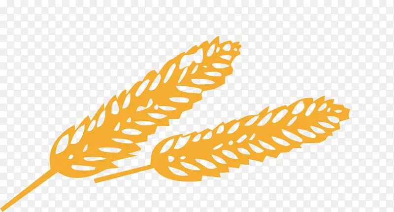 ��ʳ�ֻ��������-������