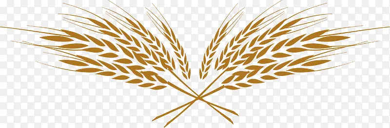 �ֲ���ֻ��������-������