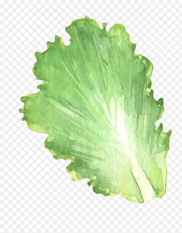 ʸ���ײ�Ҷ-������