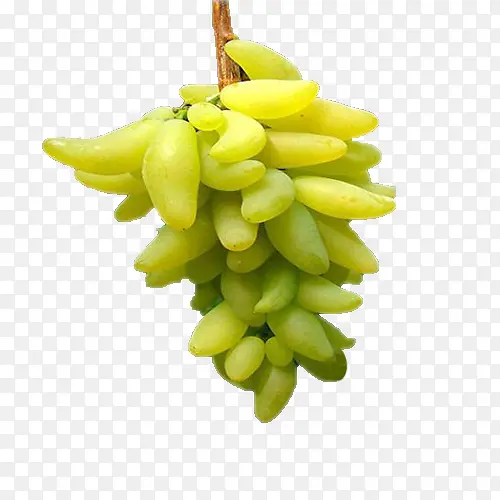 ����ָ��Ƥ����-������