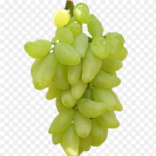 ����ָ����-������