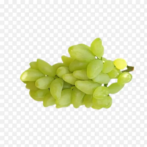 ����ָ��Ƥ����-������