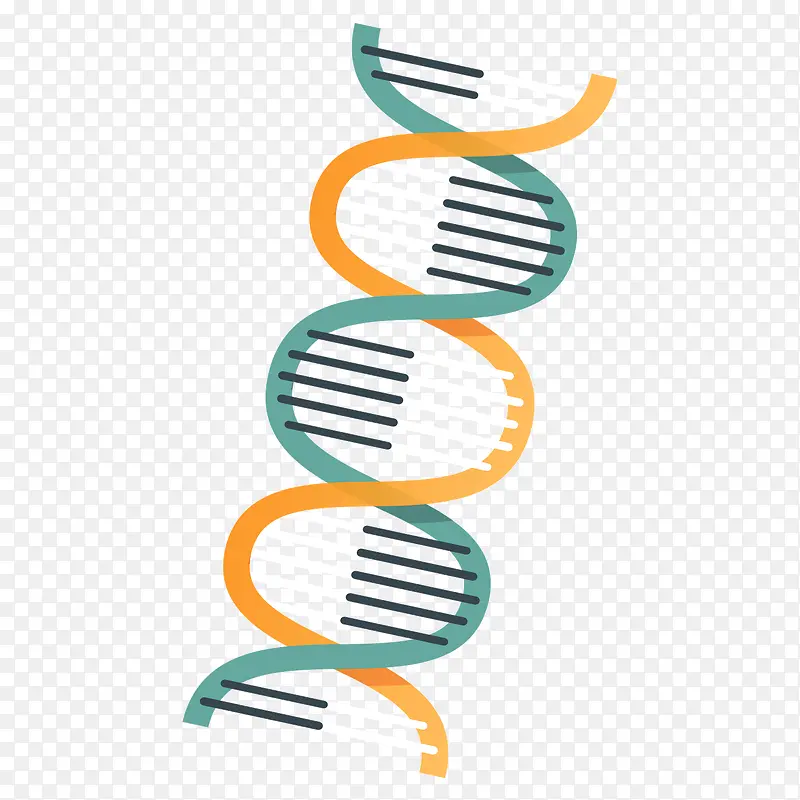 ��ƽ��Ⱦɫ��-������