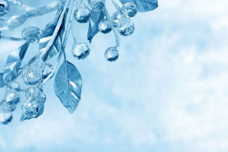 ʥ���ڱ����ز�-������