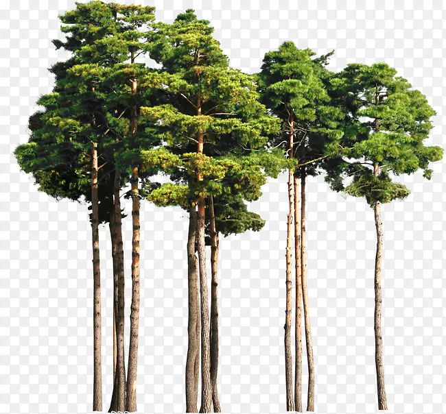 ��-������