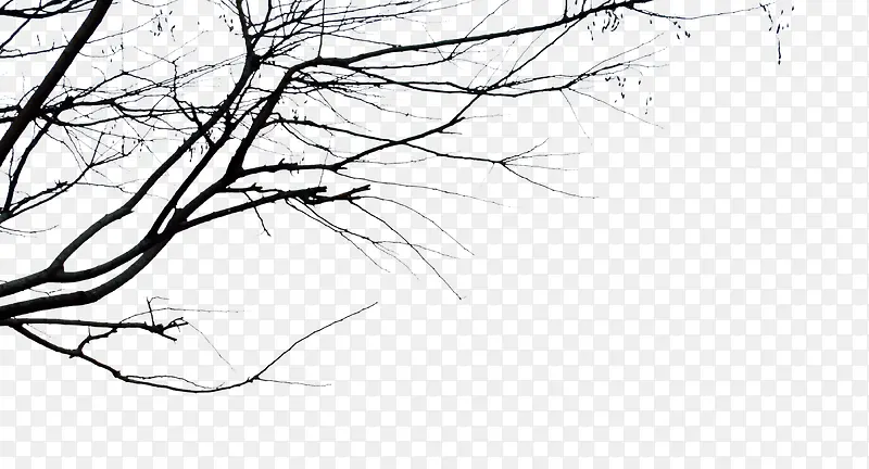 ����֦-������