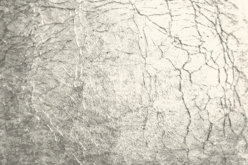 �����ѷ챳��-������